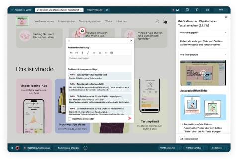 Screenshot manuelles Audit auf den Prüfschritt Grafiken und Objekte haben Textalternativen mit Problemstellungen und Lösungsvorschlägen