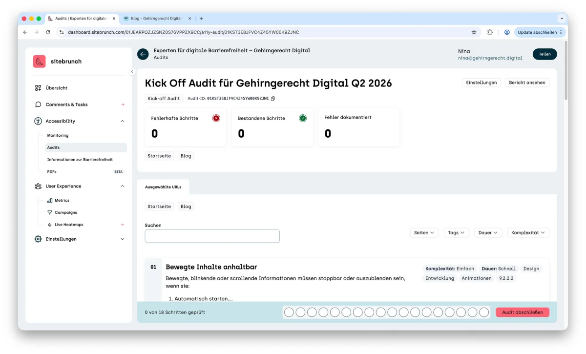 Audit view of a new kick-off audit with the buttons “Settings” and “View report”, counters for failed steps, passed steps and documented errors, and the list of testing steps below.
