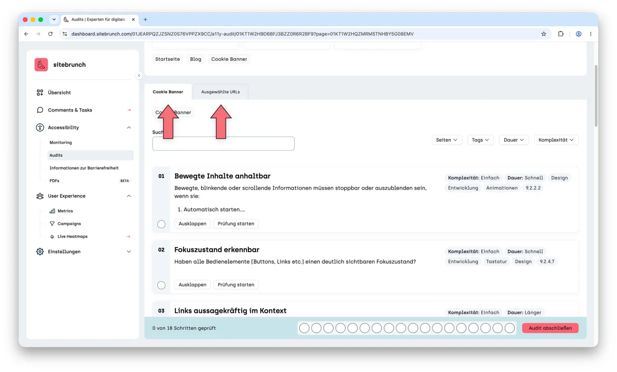 Audit with a single element. Arrows point to two tabs: one for the single element “Cookie Banner” and one for the selected URLs. The list of testing steps is shown below.
