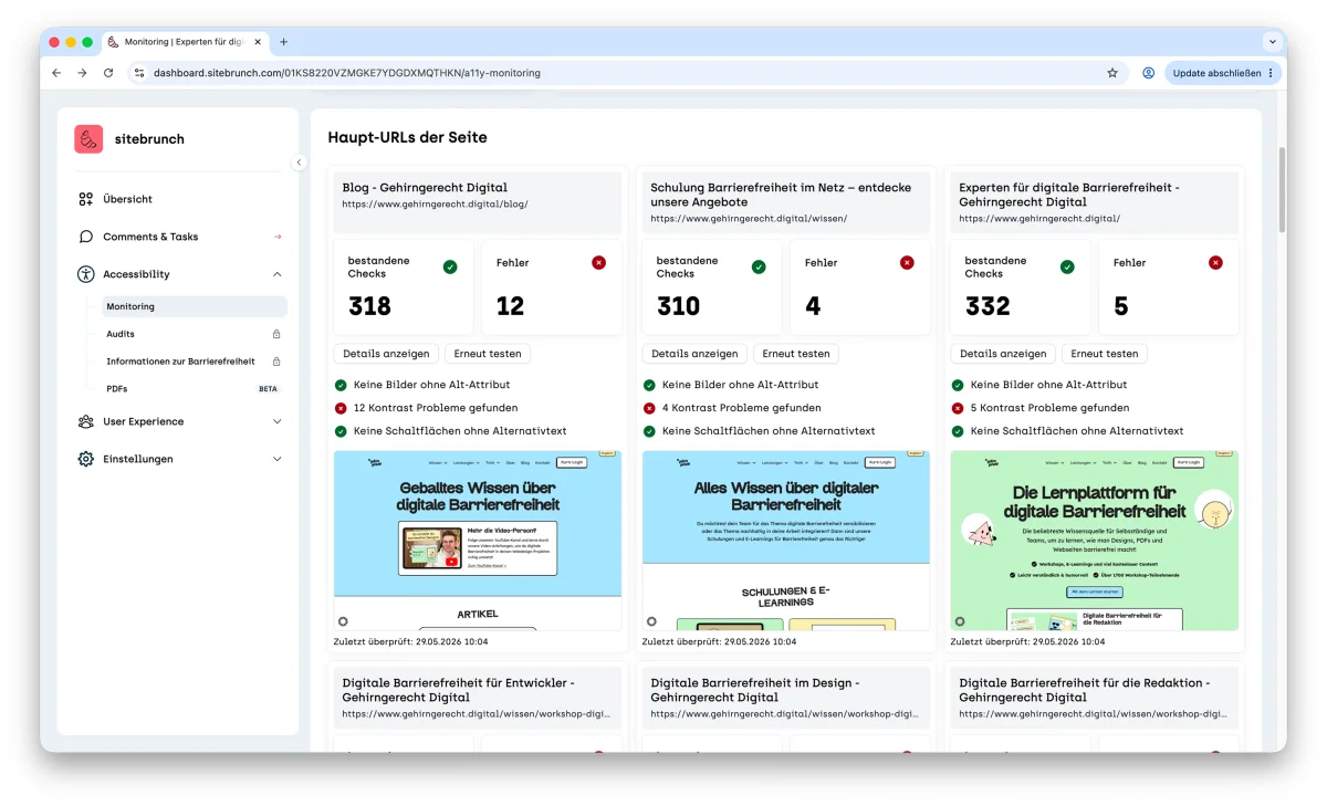 Screenshot of the main URLs of the site: each card shows passed checks and errors, buttons for details and testing again, the results for the three most common errors and a screenshot of the page.