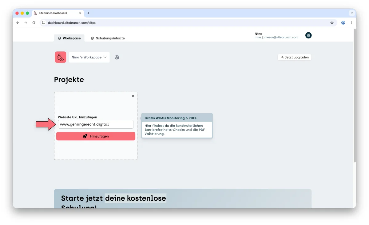 Screenshot of the workspace: an arrow points to the “Add website URL” field with www.gehirngerecht.digital entered, above the “Add” button.