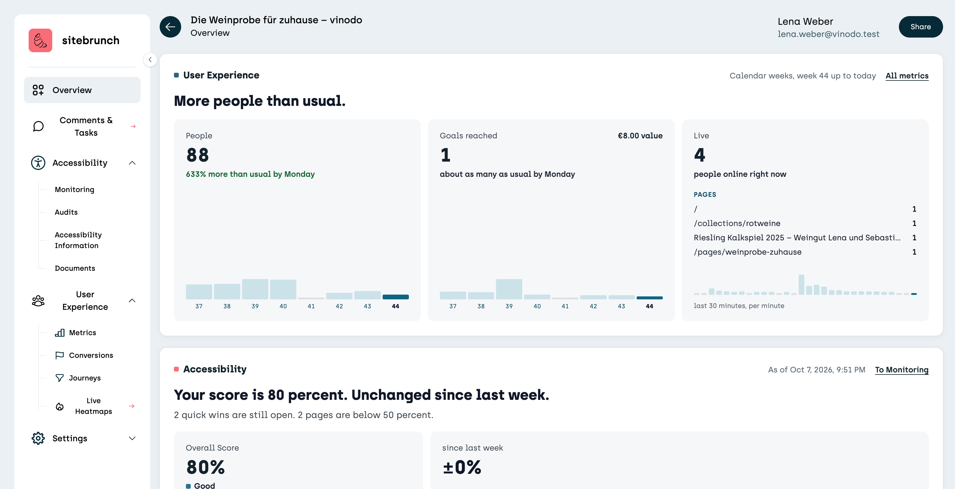 Project overview with visitors, goals reached, people online and accessibility score