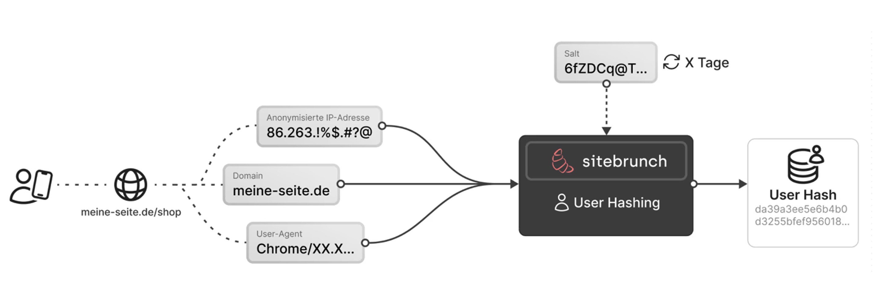 Schematische Grafik zur datenschutzfreundlichen User-Hashing-Verarbeitung: Ein User besucht &bdquo;meine-seite.de/shop&ldquo;. Daraus werden die anonymisierte IP-Adresse, Domain und User-Agent extrahiert und zusammen mit einem regelm&auml;&szlig;ig wechselnden Salt an ein &bdquo;sitebrunch User Hashing&ldquo;-Modul &uuml;bergeben. Dieses erzeugt daraus einen User Hash, der rechts als verschl&uuml;sselter Identifikationswert dargestellt ist.